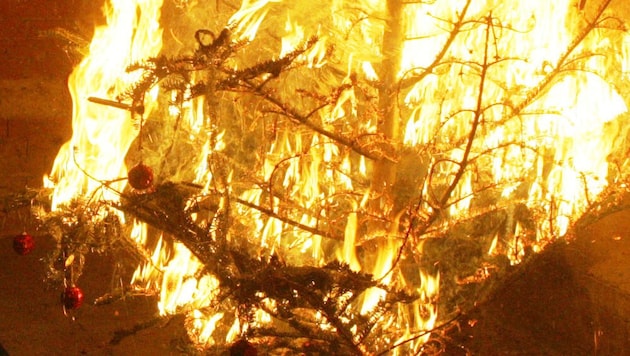 Ein Christbaum kann sich binnen weniger Sekunden entzünden und in Vollbrand stehen. Vorsicht ist ...