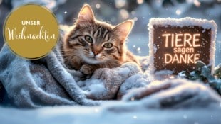 Zwischen Dankbarkeit und Hoffnung.