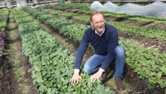 Morgentau-Gründer Christian Stadler will jetzt weitermachen.