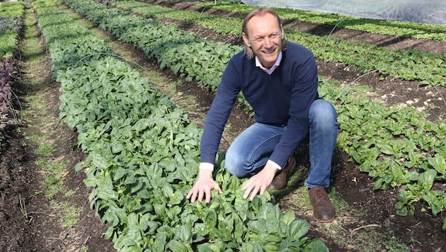 Morgentau-Gründer Christian Stadler will jetzt weitermachen.