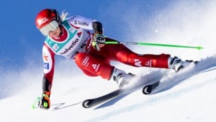 Conny Hütter hat an diesem Wochenende in Tarvis zwei Siegchancen.