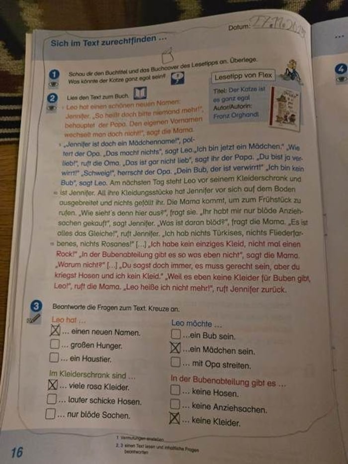 Das steirische Bildungsressort ließ prüfen, wie es zur Freigabe kam. Bloß: Die gab es nicht. Das ...