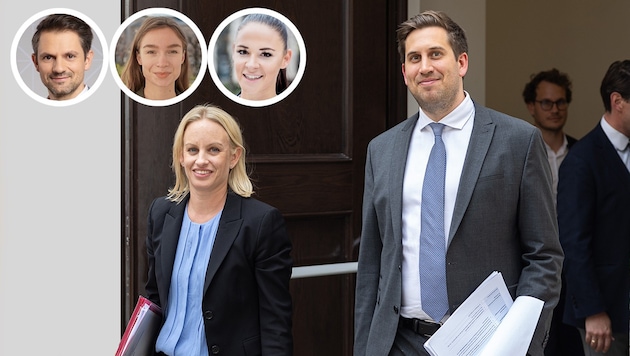 Schmidt und Pröll schupfen die Regierung. Für Wotschke, Schuch-Gubik und Schwarz geht es auf der ...