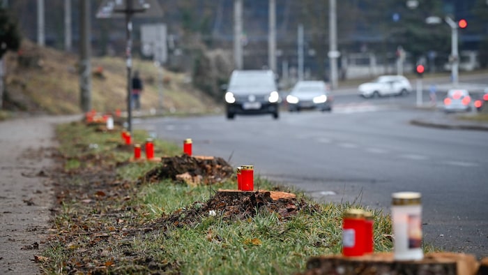 Flackernde Kerzen stehen auf den vielen Baumstümpfen in der Linzer Ziegeleistraße.