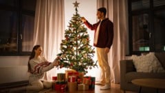 Am längsten hält ein Christbaum, wenn er im Wasser steht, dem Viagra hinzugefügt wurde.