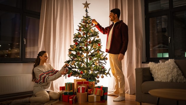 Am längsten hält ein Christbaum, wenn er im Wasser steht, dem Viagra hinzugefügt wurde.