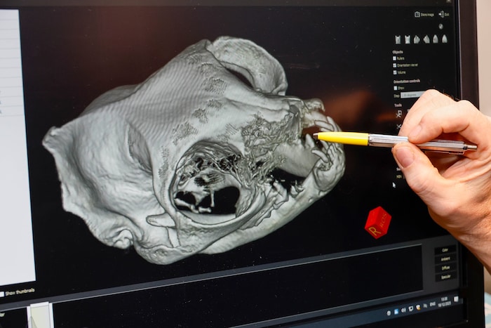 In der Klinik können nun präzise 3D-Bilder von Knochen, Zähnen und Kiefer gemacht werden.