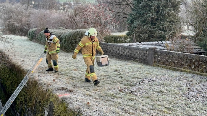 Die Katze wurde in einer Transportbox aus dem Bachbett gebracht und ihren Besitzern übergeben.