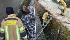 Waren rasch zur Stelle: Mitglieder der örtlichen Feuerwehr.