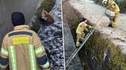 Waren rasch zur Stelle: Mitglieder der örtlichen Feuerwehr.