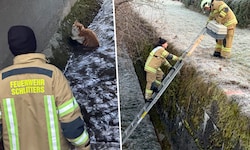 Waren rasch zur Stelle: Mitglieder der örtlichen Feuerwehr.