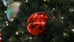 Weihnachten steht vor der Tür – doch nicht jeder ist schon in Weihnachtsstimmung.