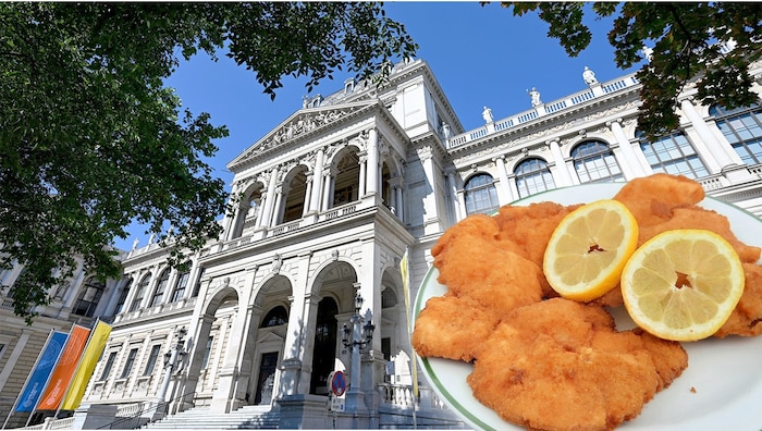 Die neue Fleischlos-Regelung stößt auf Kritik bei manchen.