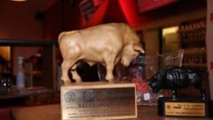 Am 2. Jänner fällt der Startschuss beim 43. Bandenzauber um den Salzburger Stier. 