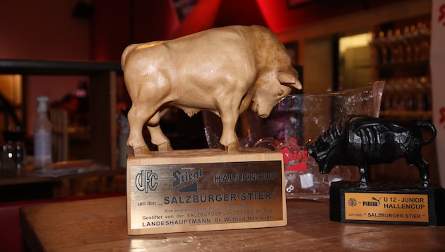 Am 2. Jänner fällt der Startschuss beim 43. Bandenzauber um den Salzburger Stier.