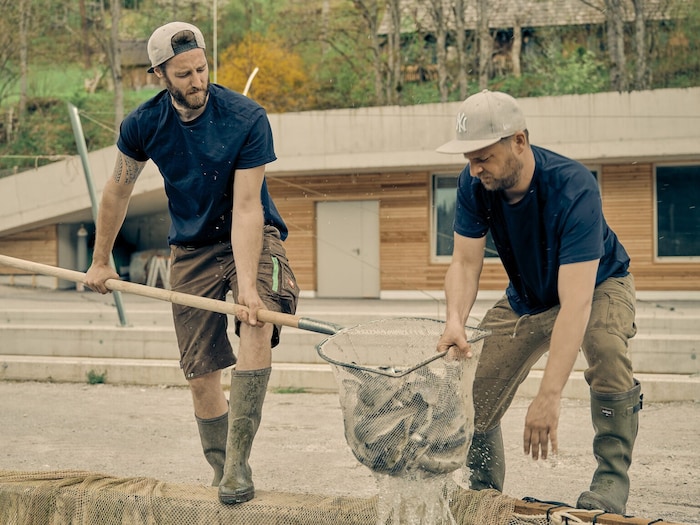 Die Fischzucht Oberwasser – ein Ort, an dem Forellen und Saiblinge unter idealen Bedingungen ...