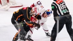 Salzburg zwang die 99ers im Liga-Schlager in die Knie.