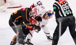 Salzburg zwang die 99ers im Liga-Schlager in die Knie.