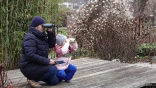 Beobachten, zählen und die Vielfalt der Wintervögel melden.