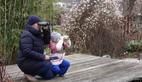 Beobachten, zählen und die Vielfalt der Wintervögel melden.