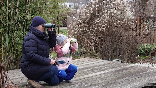 Beobachten, zählen und die Vielfalt der Wintervögel melden.