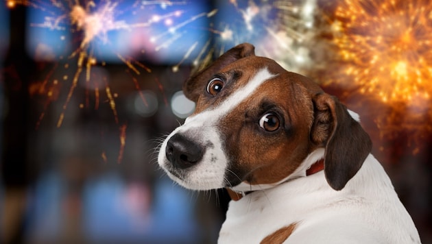 Eines der Opfer der Silvesternacht