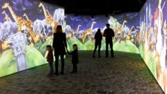 Die Magie der Musik spürt man im Mozart Museum in den Stunden vor dem Heiligen Abend besonders.