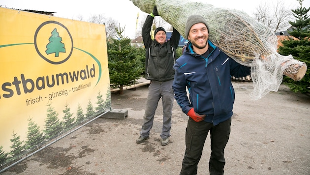 Teamwork: Richard Bischof (links) und sein Kollege Andreas Hofer beim Verladen eines besonders ...