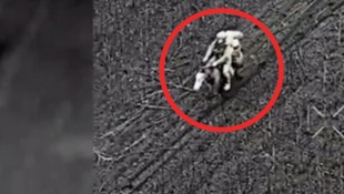 Hier konnte ein russischer Soldat auf einem Pferd eingefangen werden.