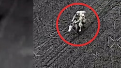 Hier konnte ein russischer Soldat auf einem Pferd eingefangen werden.