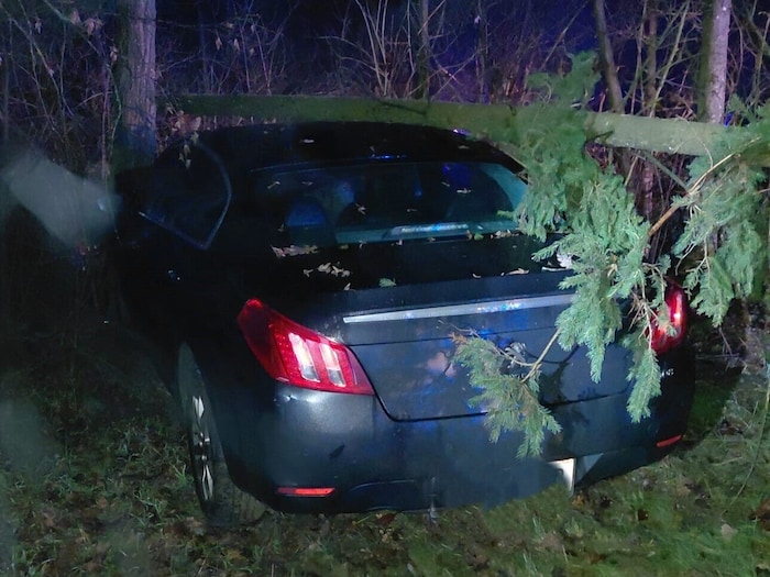 Der Pkw wurde von der Feuerwehr mittels Seilwinde geborgen.