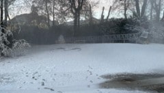 Eine Schneekanone verzauberte den Stadtpark Spittal in ein kleines Winterwunderland.