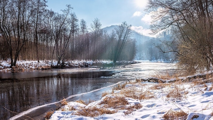 Silvesterwanderung im Nationalpark Thayatal