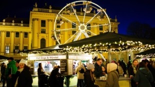 Am Weihnachtsmarkt vor dem Schloss Schönbrunn können Punsch und Köstlichkeiten noch bis 6. ...