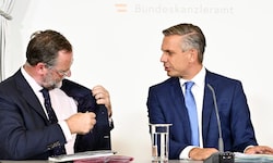 Schellhorn versucht zu liefern – aber viele Ministerien spielen nicht mit.