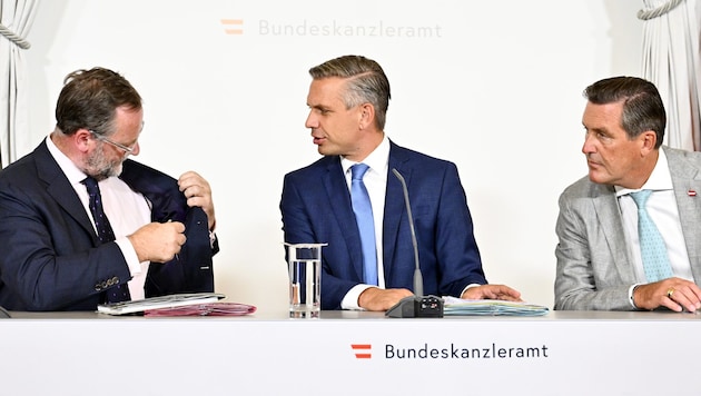 Schellhorn, Hattmannsdorfer und Hanke suchen nach dem „großen Wurf“.