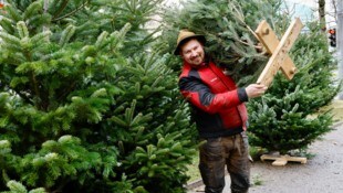 Andreas Gremsl aus Puch bei Weiz hat auch am Tag vor Weihnachten noch Christbäume in allen ...