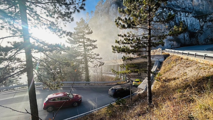 Der Andrang war groß – die Besucher wurden mit strahlendem Sonnenschein überrascht.