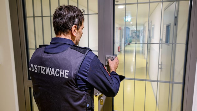 Der 26-jährige Angeklagte ist in der Justizanstalt Puch in U-Haft.