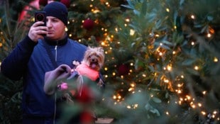 Es weihnachtet in Moskau. Aber die lahmen Handys machen dem Fest heuer ein bisschen einen Strich ...