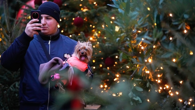 Es weihnachtet in Moskau. Aber die lahmen Handys machen dem Fest heuer ein bisschen einen Strich ...