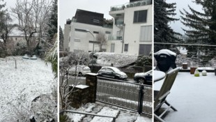 Pünktlich zu Weihnachten verwandelte sich der Osten zu einer weißen Schneepracht.