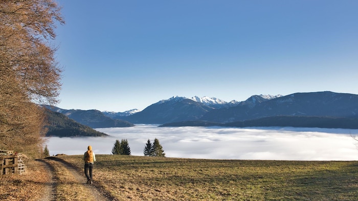Bei Glück warten nach Nebel im Tal Sonnenschein und blauer Himmel auf der Höhe.