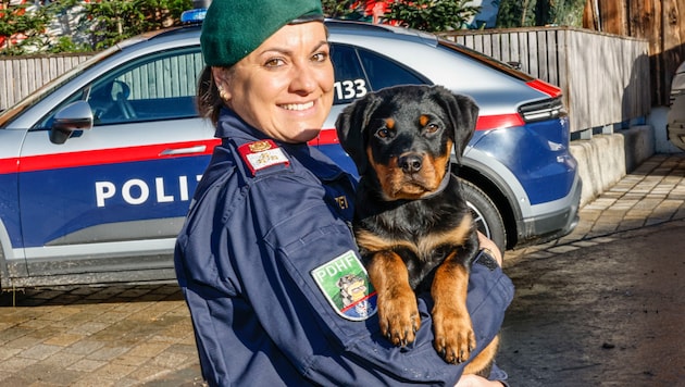 Erst wenige Wochen ist Idefix alt. Schon jetzt beginnt er eine straffe Ausbildung zum ...