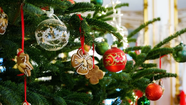 Nach den Weihnachtsfeiertagen hat der festlich geschmückte Christbaum meist ausgedient.