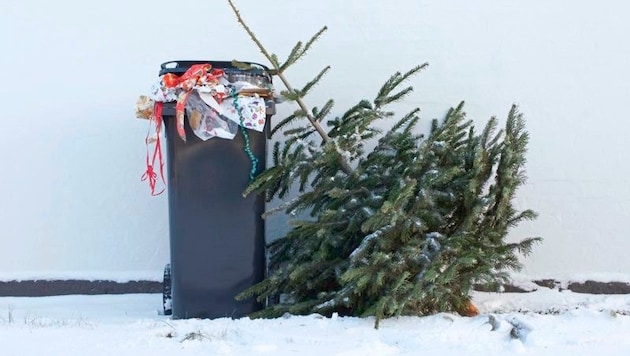 Bäumchen neben voller Tonne: Ein Anblick, der ab heute immer häufiger wird.