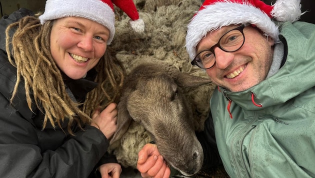 So sah „Rudolph“ aus, als Elisabeth und Andi Nussbaumer ihn kennenlernten. Eine 20 Zentimeter ...