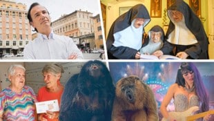 Kurios, kurioser, 2025! 