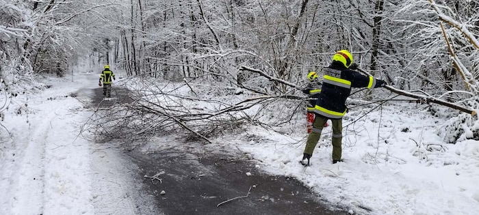 Dicke Äste umgeknickter Bäume versperrten vielerorts Straßen.