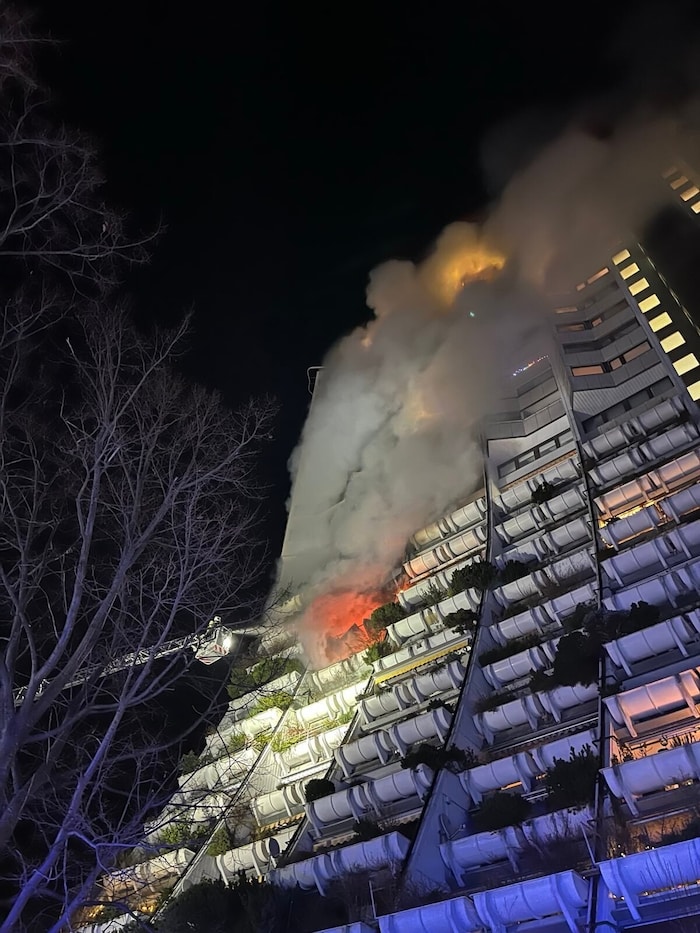 A large-scale operation was the result.